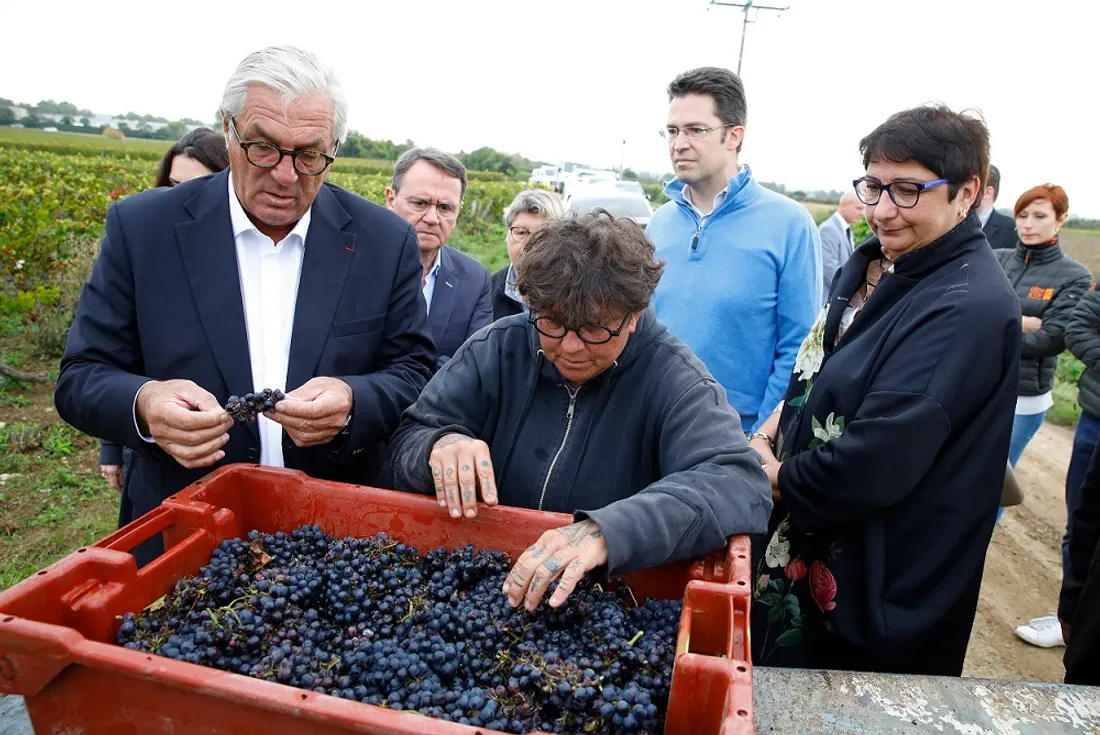 François Sauvadet ce lundi matin dans les vignes, à Pommard 